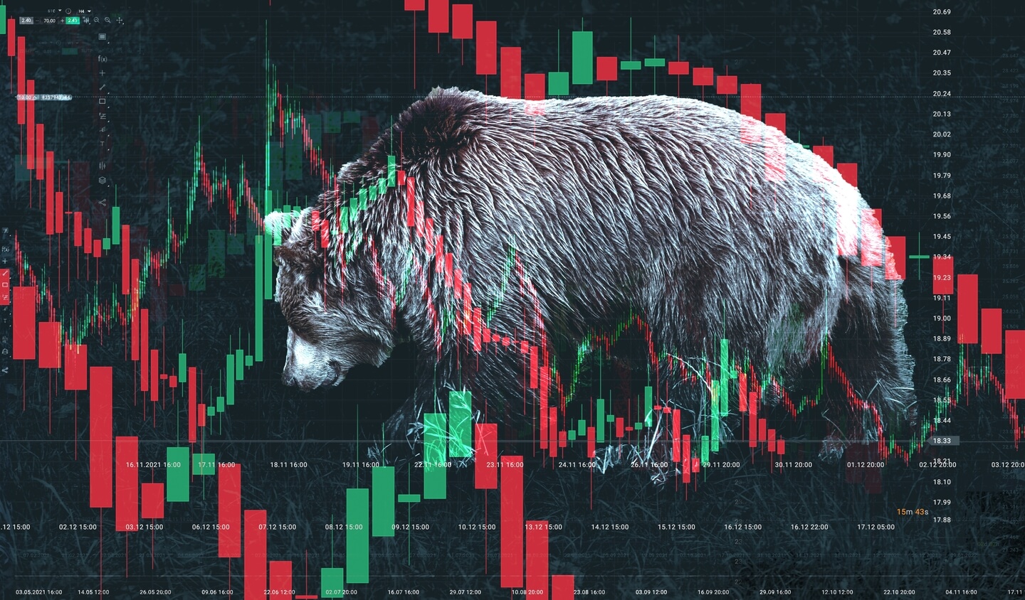 Crypto Market in Decline
