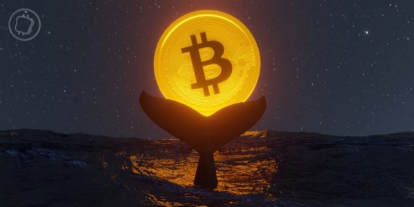 Une mystérieuse « whale » déplace 1 000 BTC qui n’avaient pas bougé depuis 2010