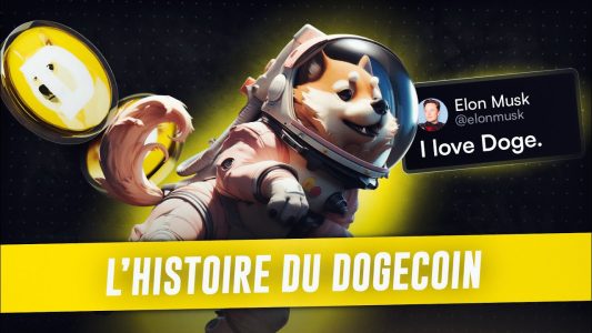 L'histoire de la crypto Dogecoin, ce chien qui valait 25 milliards de dollars