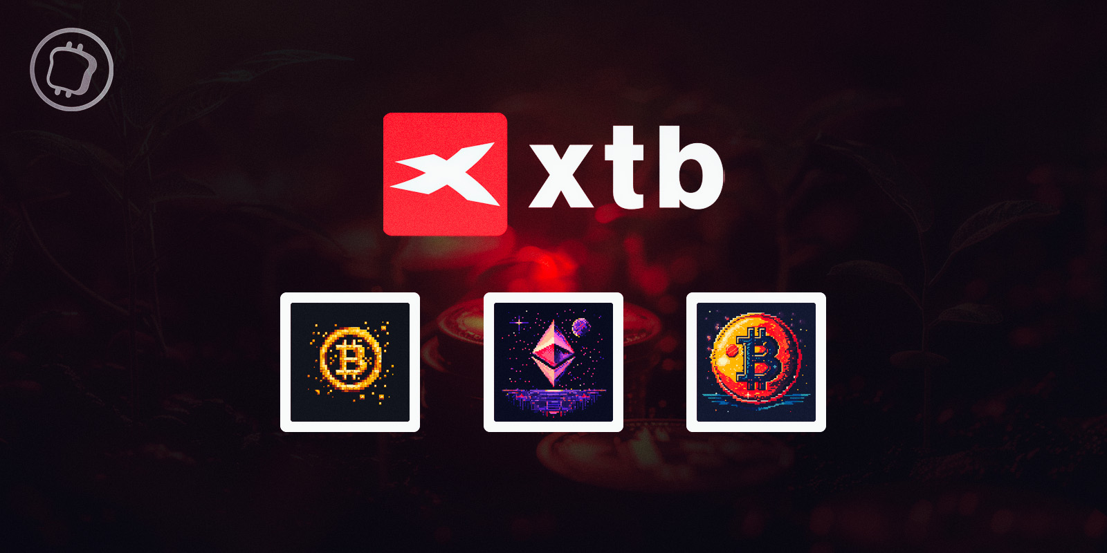 XTB propose une alternative aux ETF Bitcoin avec 3 ETN dédiés aux cryptomonnaies