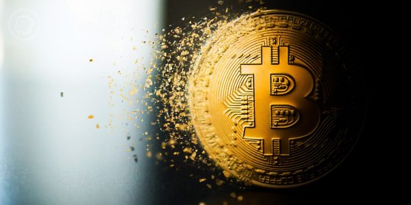 Bitcoin halving plateformes d'échange