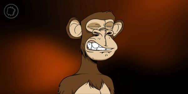 Phishing : un investisseur perd 3 NFT rares du Bored Ape Yacht Club