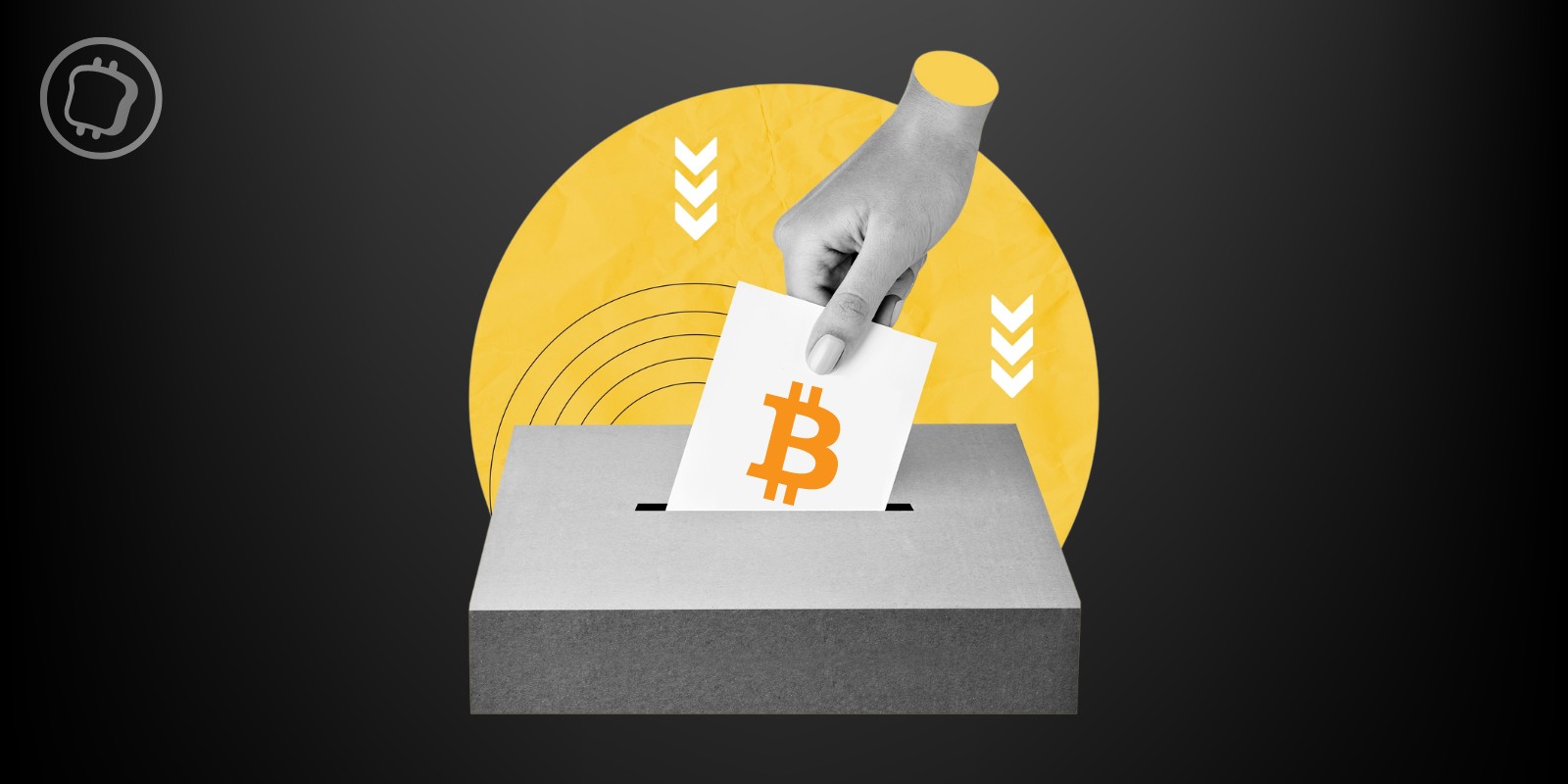 Législatives : des candidats se présentent sous les couleurs de Bitcoin – Que proposent-ils ?