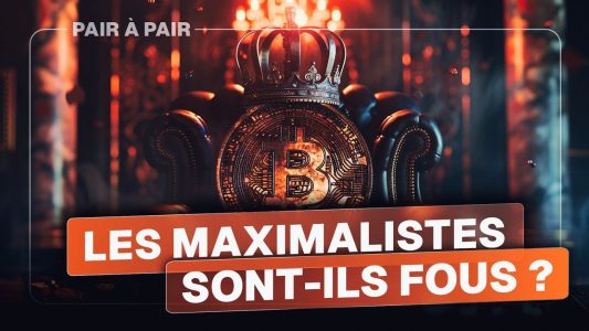 Pourquoi les Bitcoin maximalistes sont-ils fous ? Avec How To Bitcoin