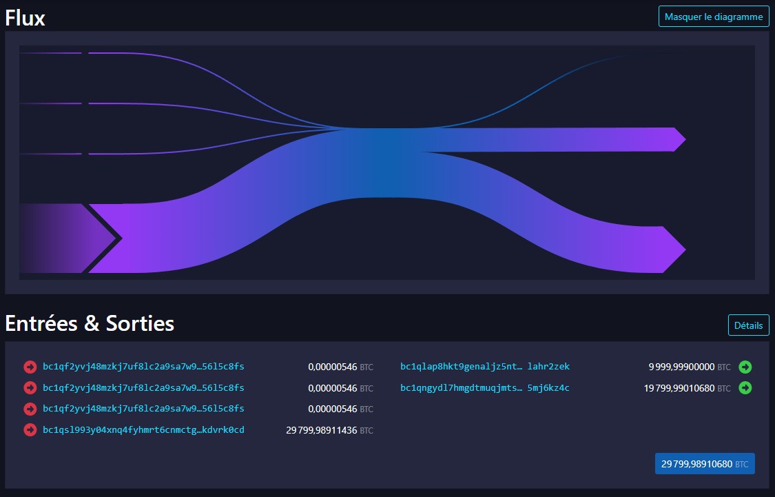 detail-transaction-10000btc-etatsunis