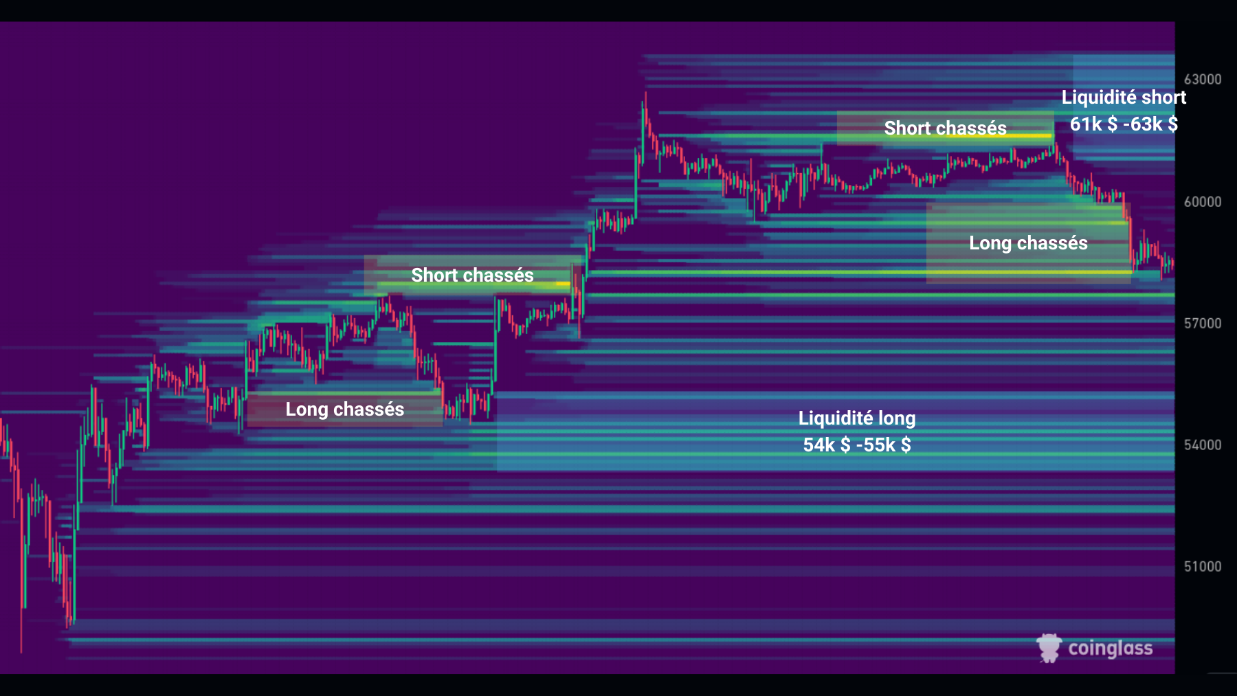 BTC Liquidations 130824