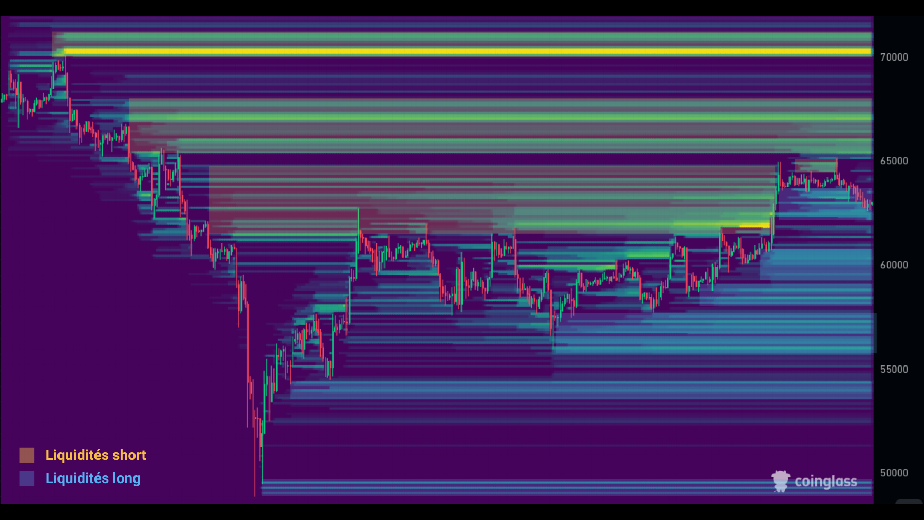 BTC Liq 270824