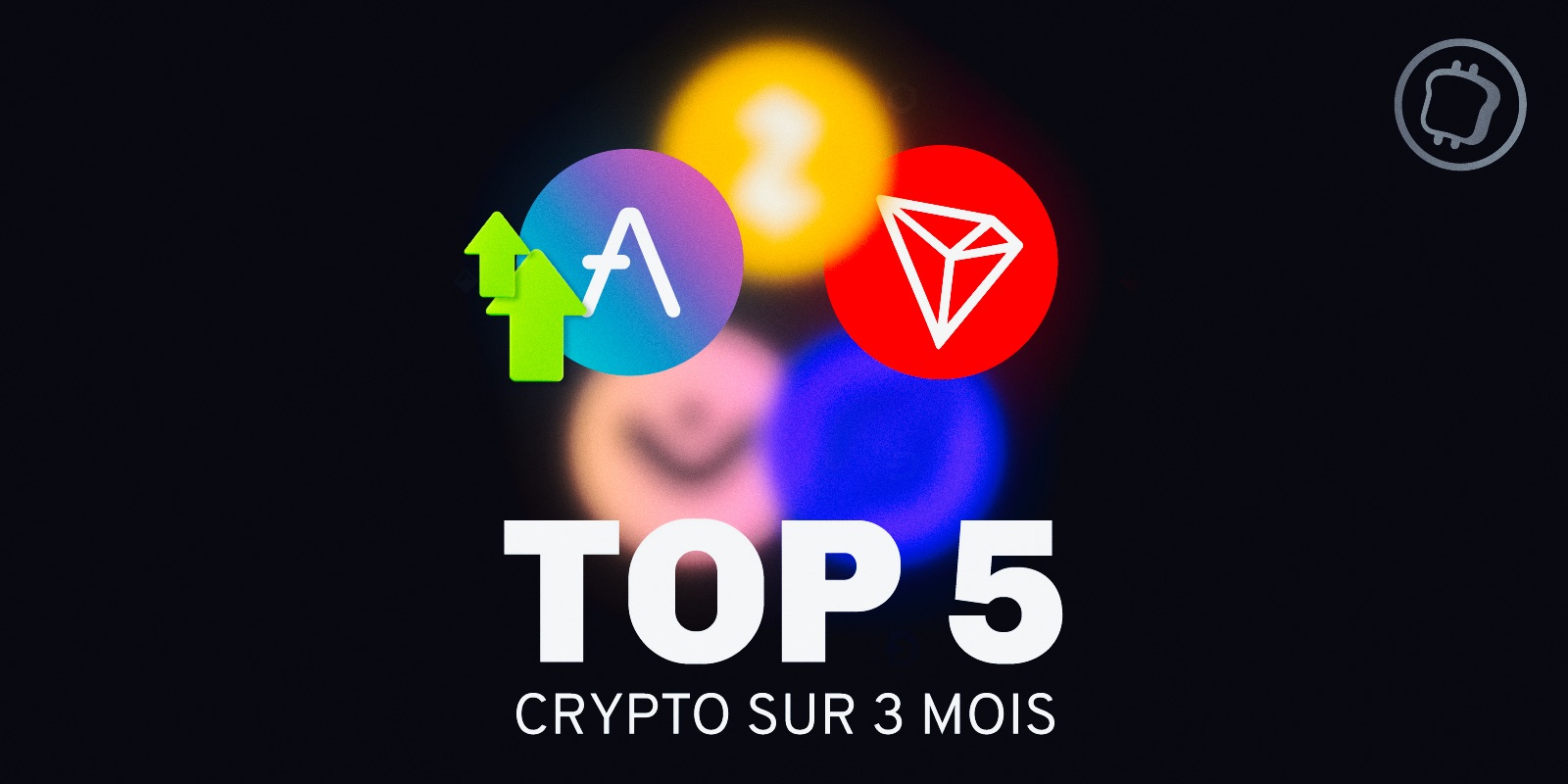 Quelles sont les 5 cryptos qui ont le plus performé sur ces 3 derniers mois ?