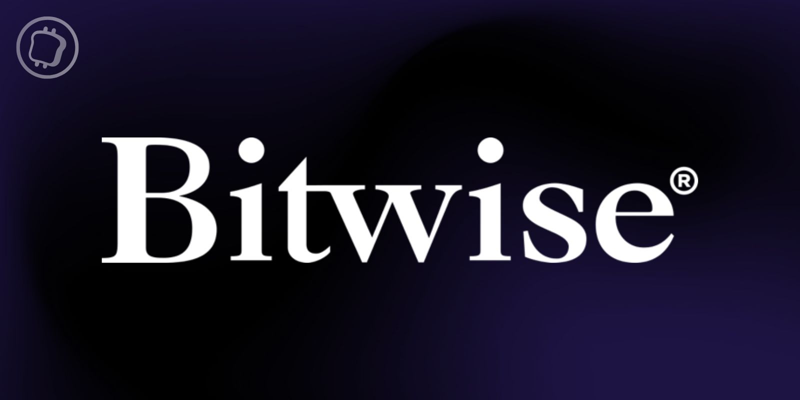 Bitcoin (BTC) : « Nous ne sommes pas assez bullish » selon le directeur des investissements de Bitwise