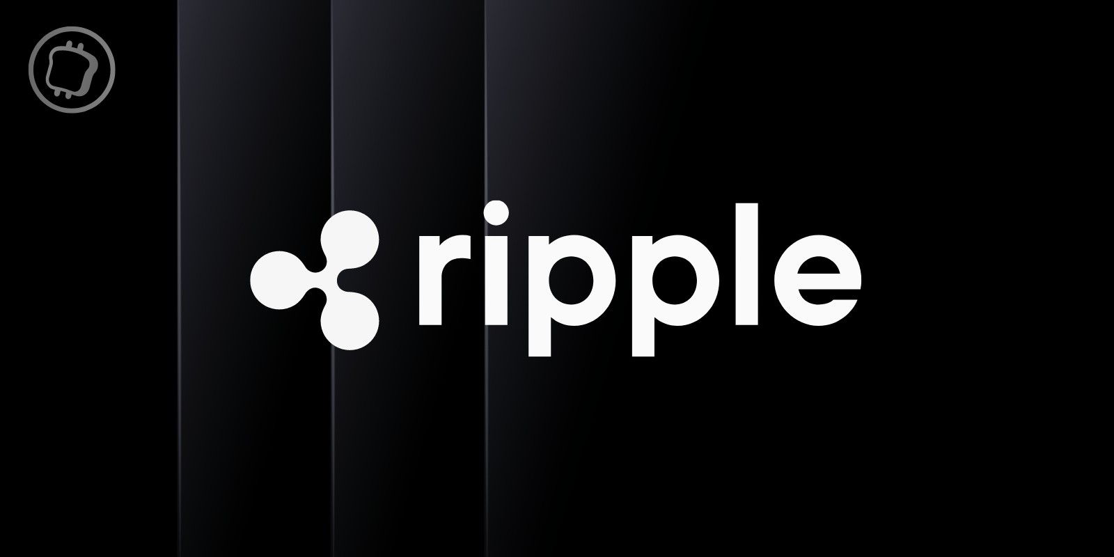 Elections américaines : un des cofondateurs de Ripple (XRP) soutient Kamala Harris