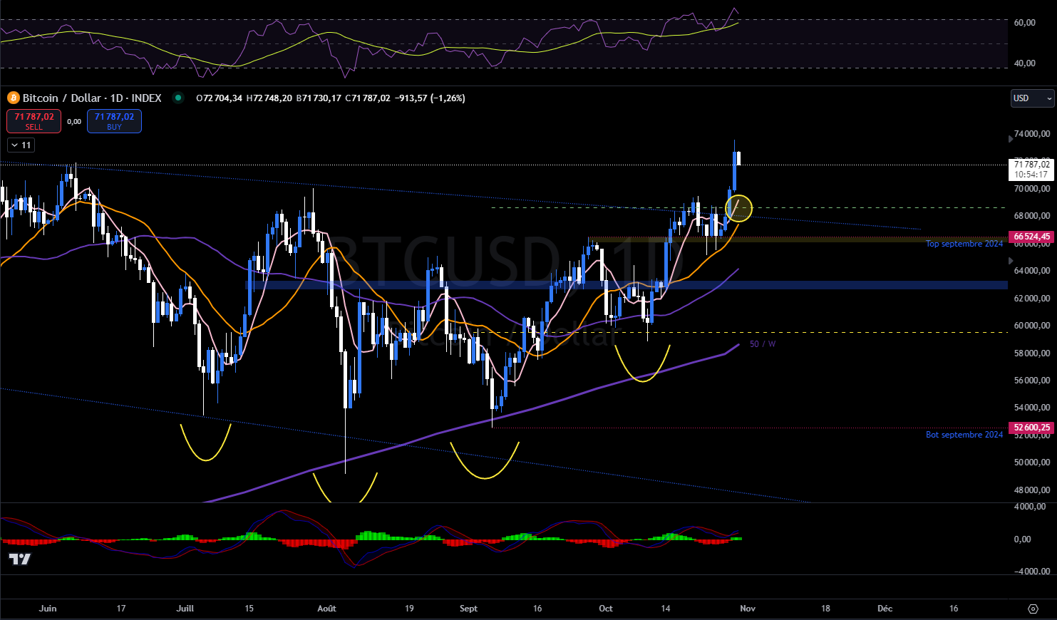 Bitcoin en journalier contre le dollars