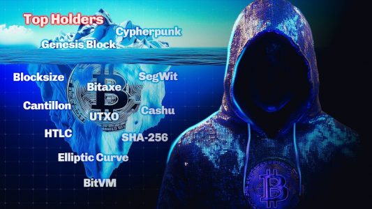 Qui possède le plus de Bitcoin ? Top 10 des plus gros détenteurs de BTC – L'iceberg de Bitcoin