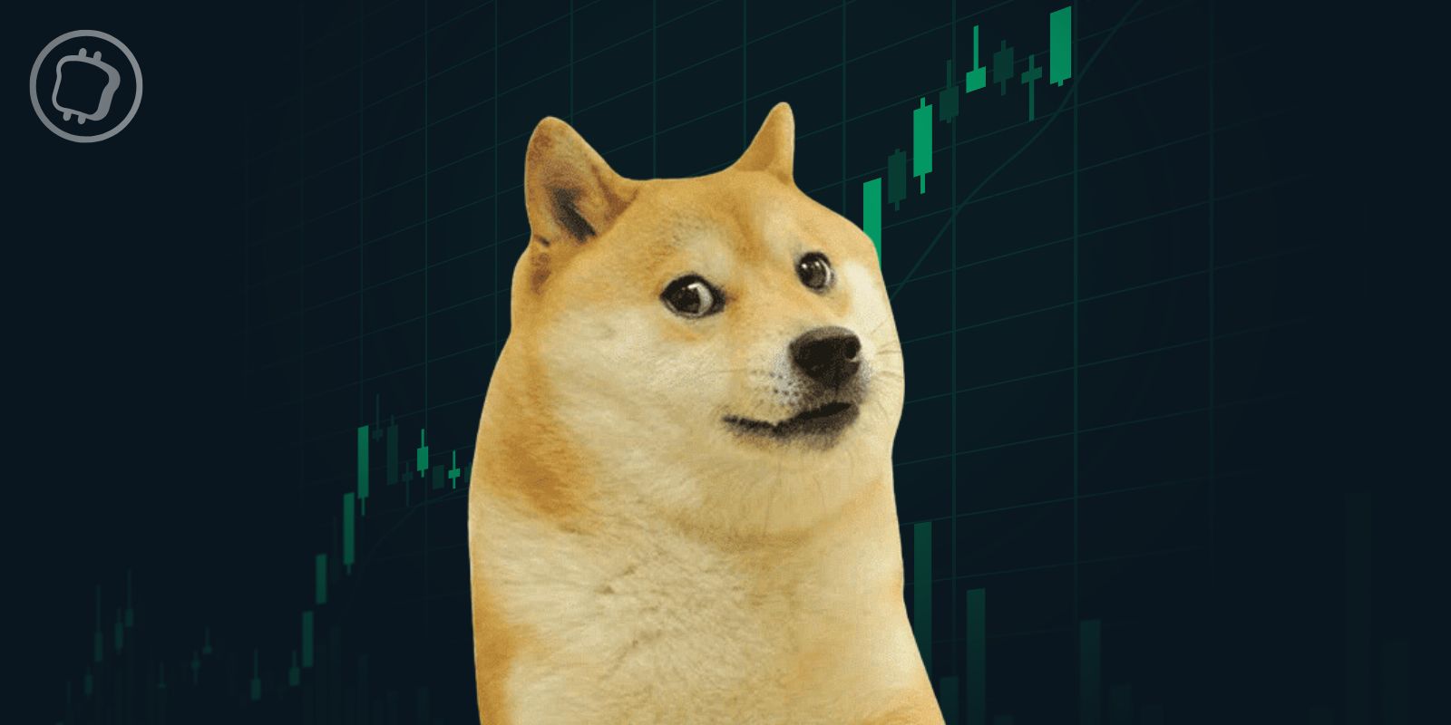 Le Dogecoin (DOGE) grimpe de 25 % en anticipant une victoire de Donald Trump