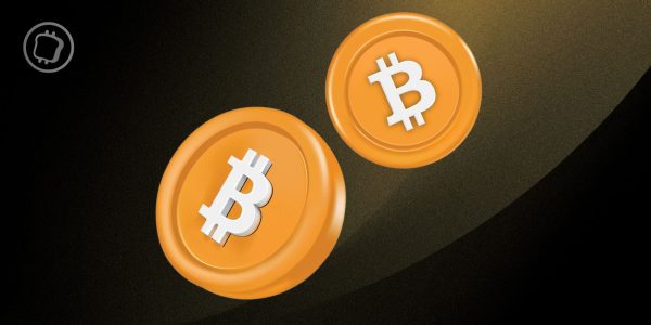 Le géant BlackRock recommande de détenir jusqu'à 2 % de Bitcoin dans son portefeuille
