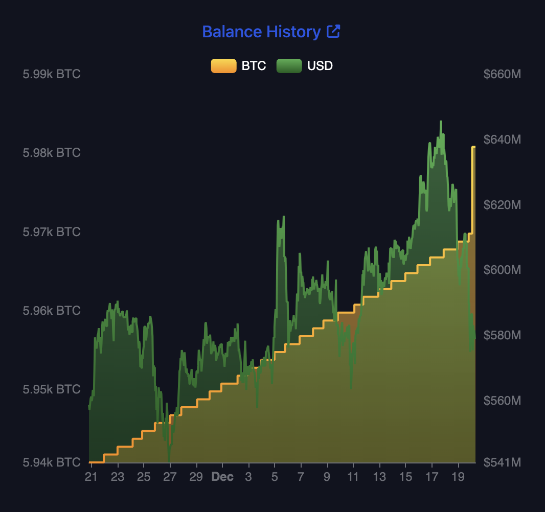 salvador-holdings