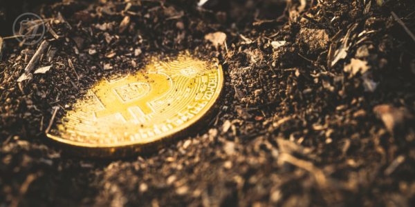 Des Bitcoins d'une valeur de 5 millions de dollars, immobiles depuis 15 ans, se réveillent