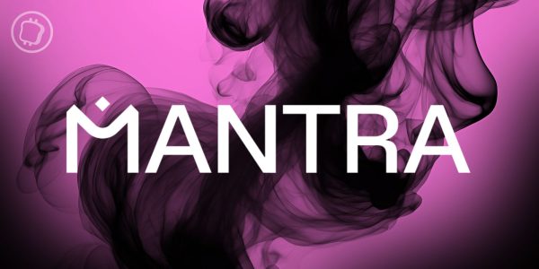 Le fondateur de Mantra pourrait brûler tous les tokens OM de l’équipe pour sauver le projet
