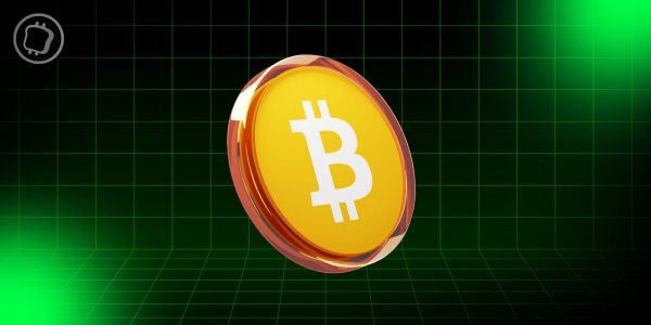 Bitcoin (BTC) dépasse 110 000 dollars pour la 1re fois — Les autres cryptos suivent-elles le rythme ?