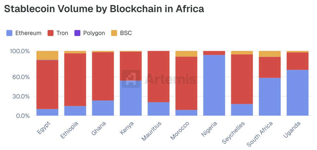 Graphique représentant les volumes de stablecoins par blockchain pour les pays d'Afrique