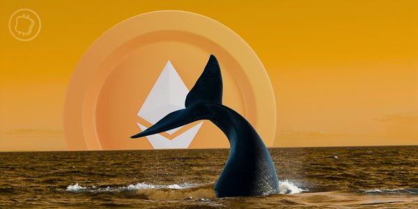 39 millions de dollars : une whale accumule de l'ETH malgré la dégringolade du cours