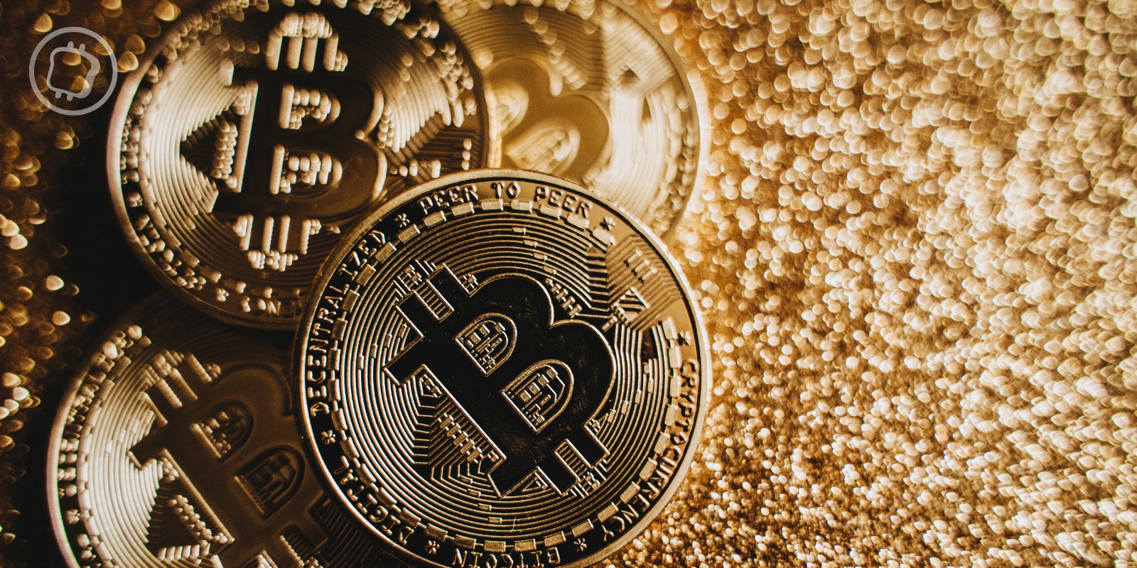 Les trésoreries Bitcoin cartonnent et suivent de près les ETF dans la  course aux BTC