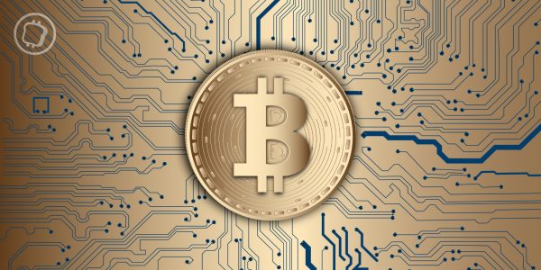 Un mineur solo de Bitcoin remporte un bloc et sa récompense de 373 000 dollars