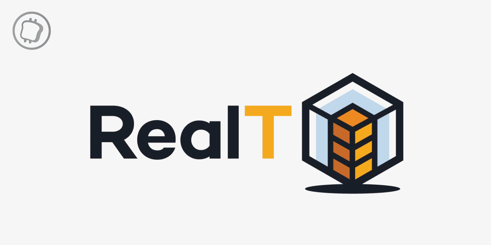 RealT ne peut plus payer une partie de ses clients – Pourquoi ?