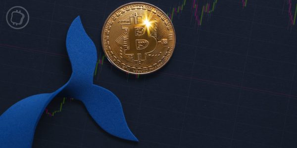 Une mystérieuse adresse de 2011 fait transiter des milliards de dollars de Bitcoin (BTC)