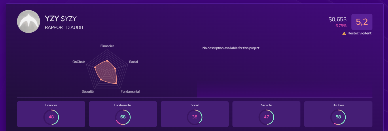 YZY Rapport Audit X-Ray Kryll3