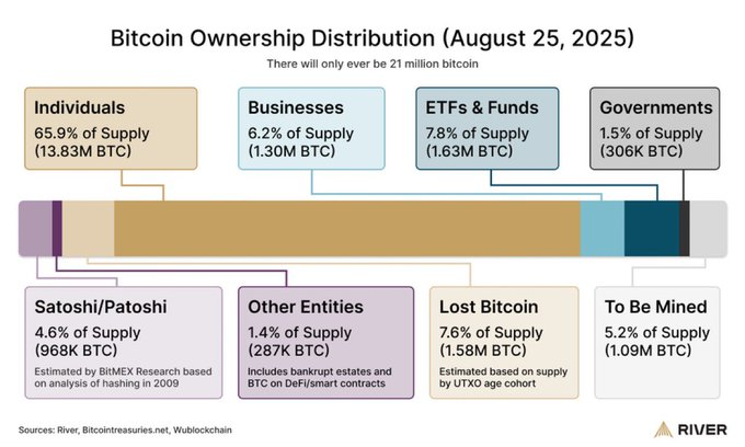 Répartition actuelle de la détention du Bitcoin Répartition actuelle de la détention du Bitcoin