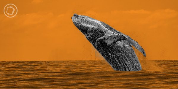 Une adresse avec 50 millions de dollars de Bitcoin (BTC) se réveille après 13 ans d’inactivité