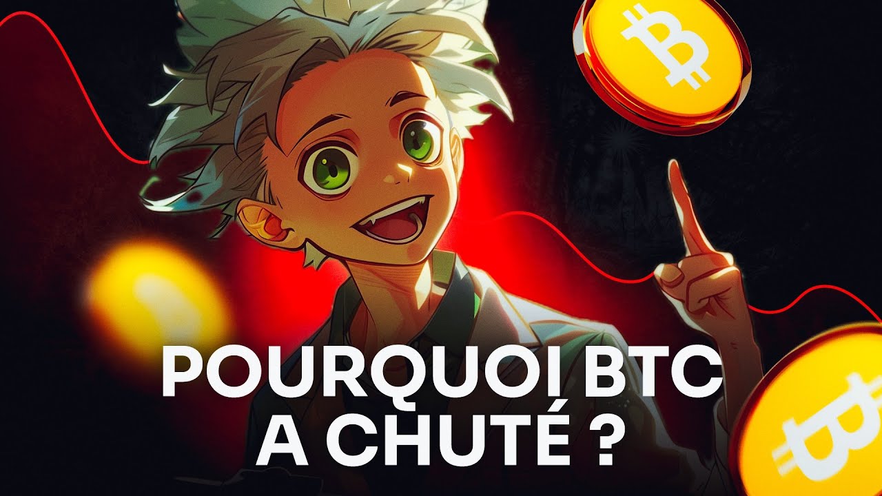 Chute du Bitcoin : Que s'est-il passé et où allons-nous ? L'analyse on-chain de Prof Chaîne
