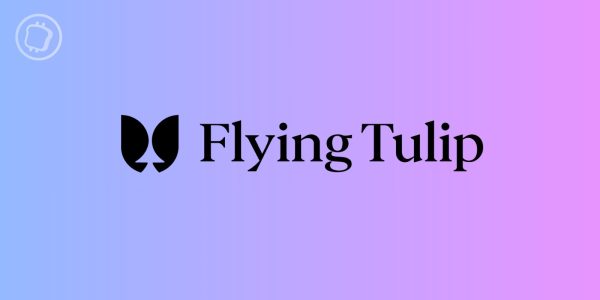 Flying Tulip : le projet de DEX tout-en-un d'Andre Cronje lève 200 millions de dollars