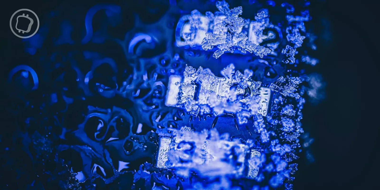 16 blockchains majeures possèdent un code caché permettant de geler les fonds des utilisateurs