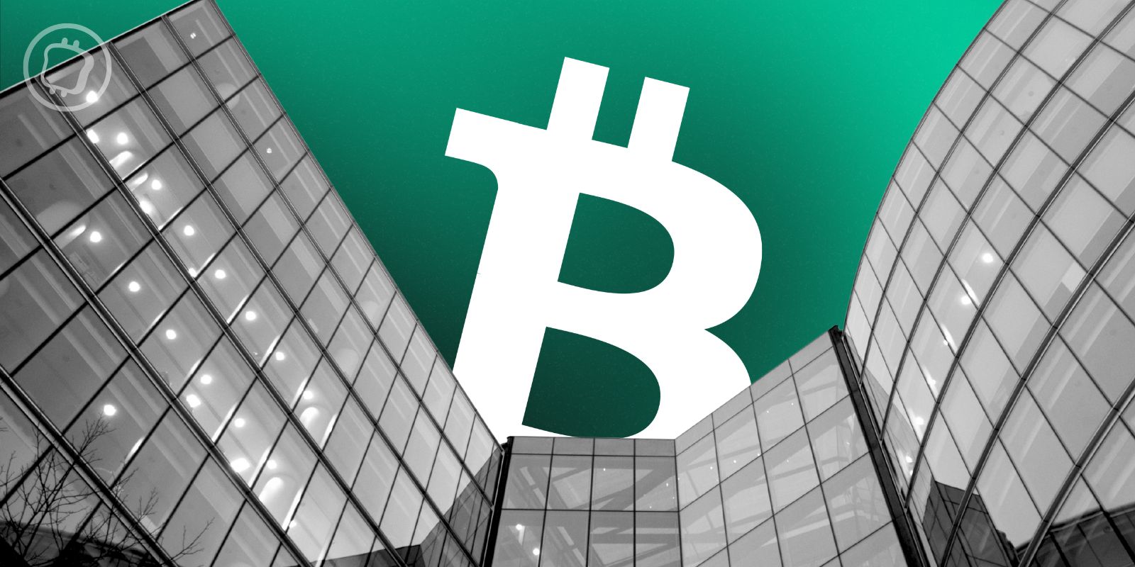 Cryptomonnaies : " le marché devrait être en mesure de se redresser plus largement ", selon cette analyse