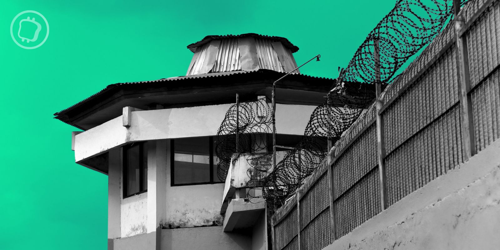 Affaire FTX : Caroline Ellison sortira de prison dans moins d'un mois