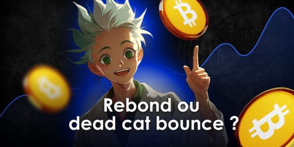 Rebond ou dead cat bounce ? - Analyse on-chain du BTC avec Prof. Chaîne
