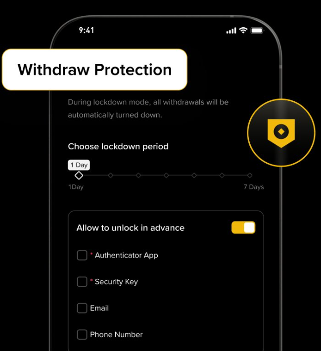 Withdraw Protection Binance