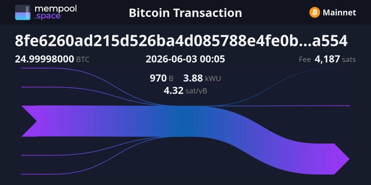 Détails de la transaction sur le site mempool.space