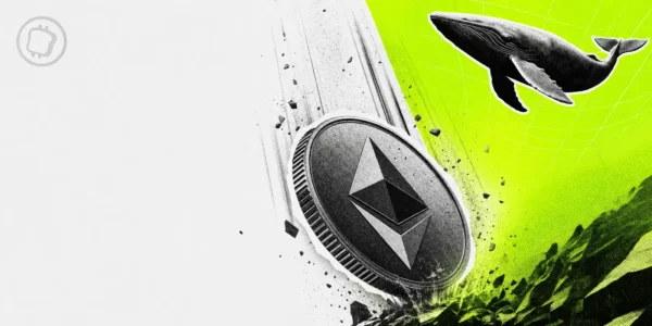 Baisse du marché crypto - Quand les whales en profitent pour vendre et racheter plus bas