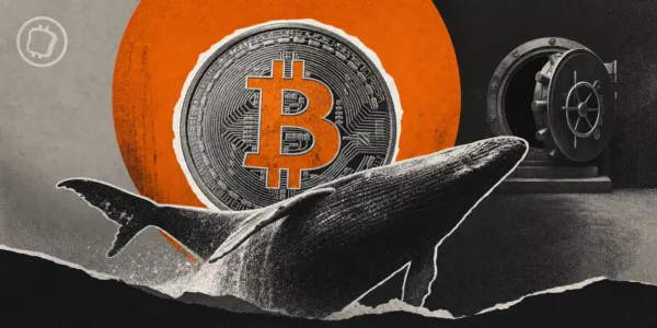 Bitcoin : les whales ont profité massivement du creux à 60 000 dollars