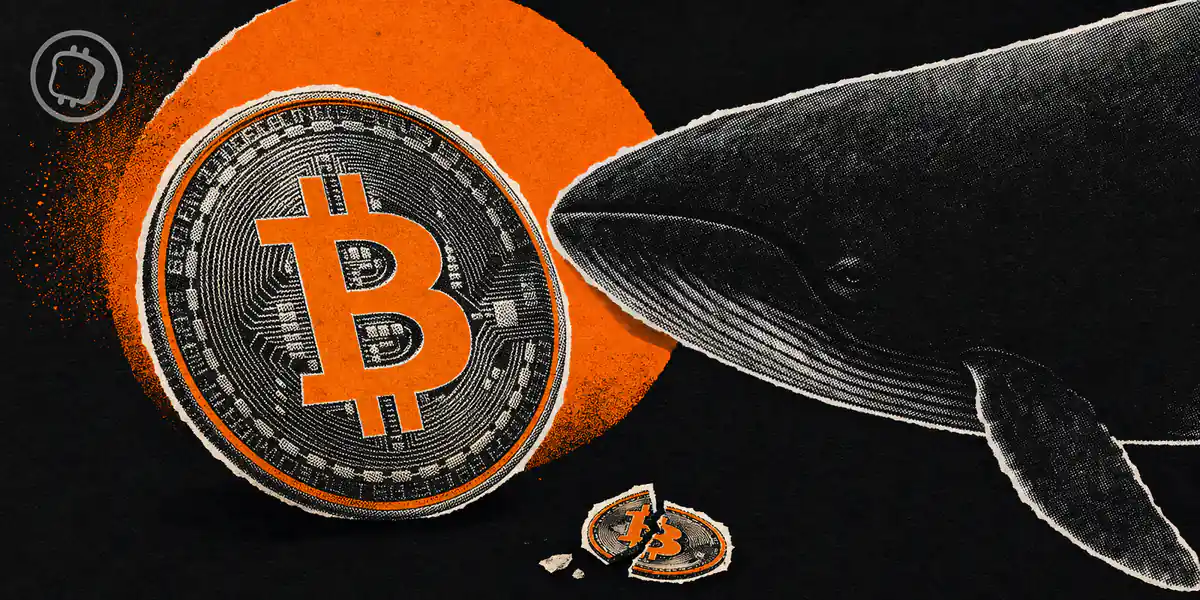 Bitcoin : le bras de fer entre baleines et petits porteurs annonce-t-il un plancher ?