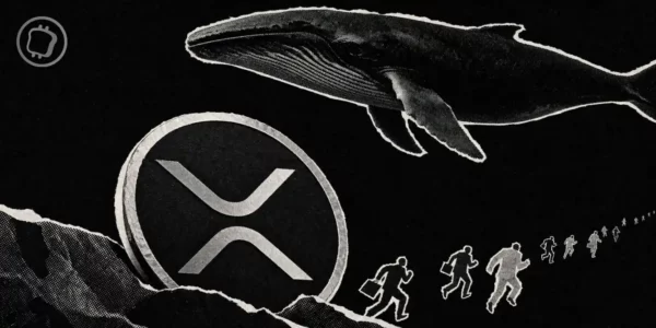 XRP : les baleines accumulent pendant que les petits investisseurs capitulent - Une bonne nouvelle ?