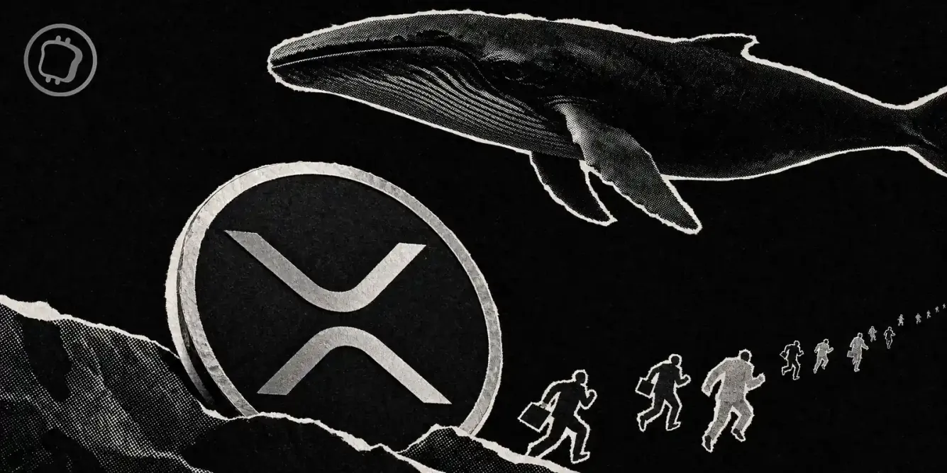 XRP : les baleines accumulent pendant que les petits investisseurs capitulent - Une bonne nouvelle ?