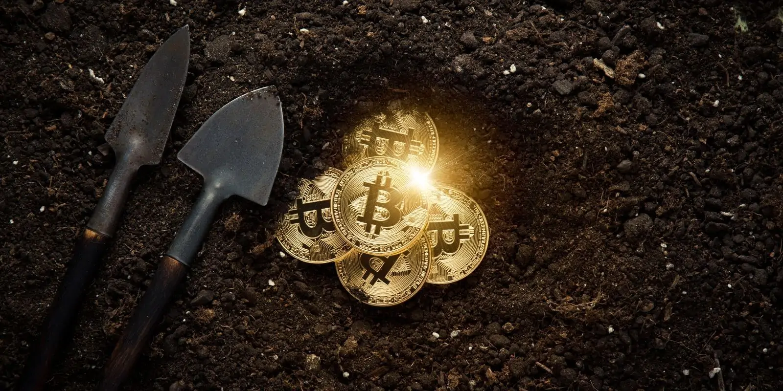 crypto trading btc bot peste piața contra- bitcoin